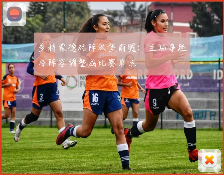 多特蒙德对阵汉堡前瞻：主场争胜与阵容调整成比赛看点