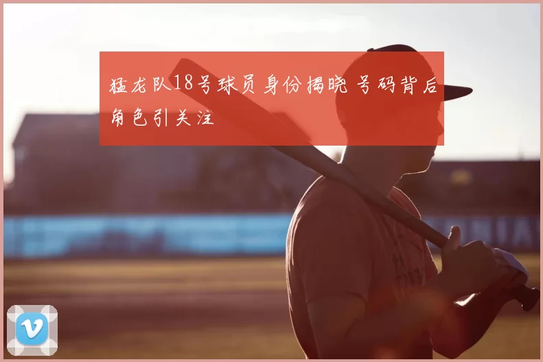 猛龙队18号球员身份揭晓 号码背后角色引关注