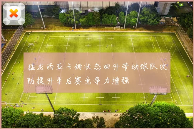 猛龙西亚卡姆状态回升带动球队攻防提升季后赛竞争力增强