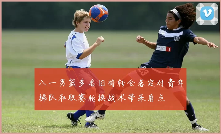 八一男篮多名旧将转会落定对青年梯队和联赛轮换战术带来看点