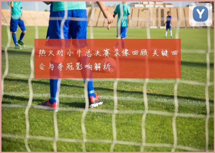 热火对小牛总决赛录像回顾 关键回合与夺冠影响解析