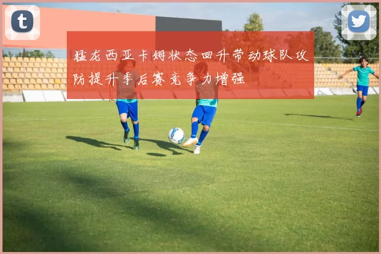 猛龙西亚卡姆状态回升带动球队攻防提升季后赛竞争力增强