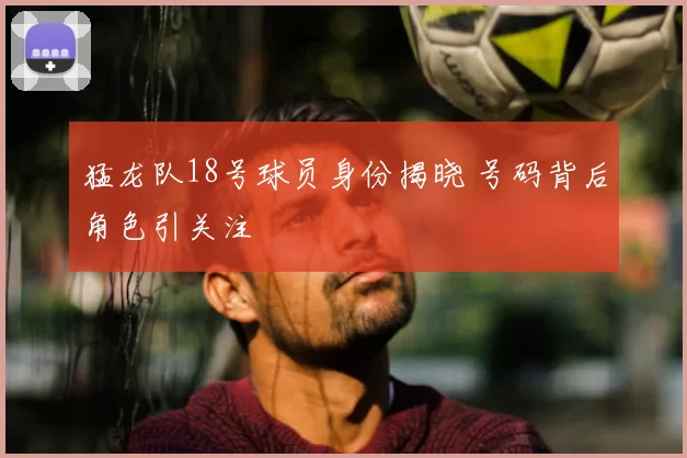 猛龙队18号球员身份揭晓 号码背后角色引关注